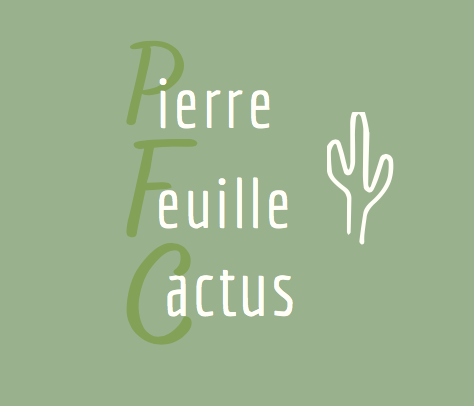Pierre Feuille Cactus