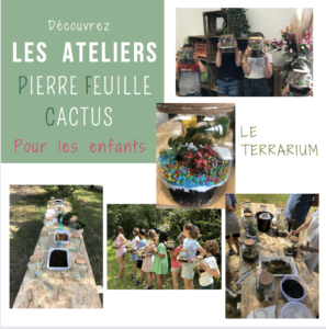 Lire la suite à propos de l’article Atelier terrarium pour les enfants
