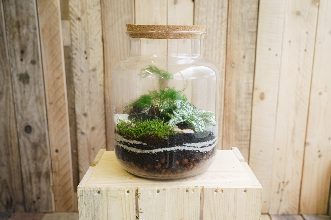 Atelier terrarium