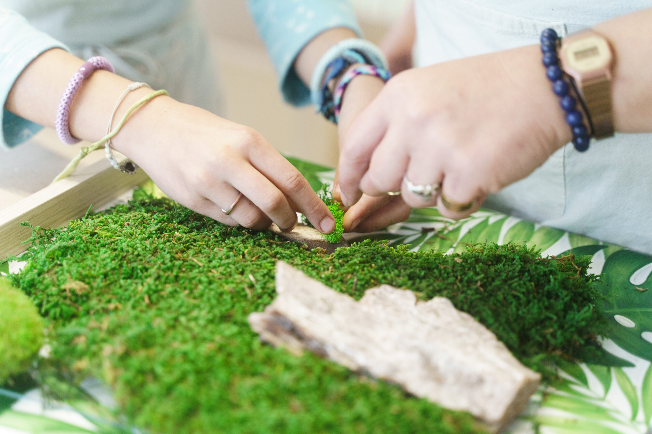 2DB2BB1D-1627-4E39-8AAC-18E6CFFD57C2