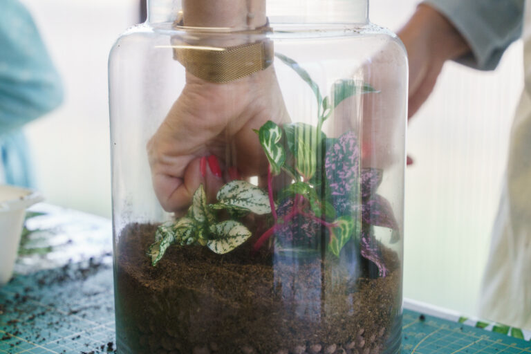 atelier terrarium