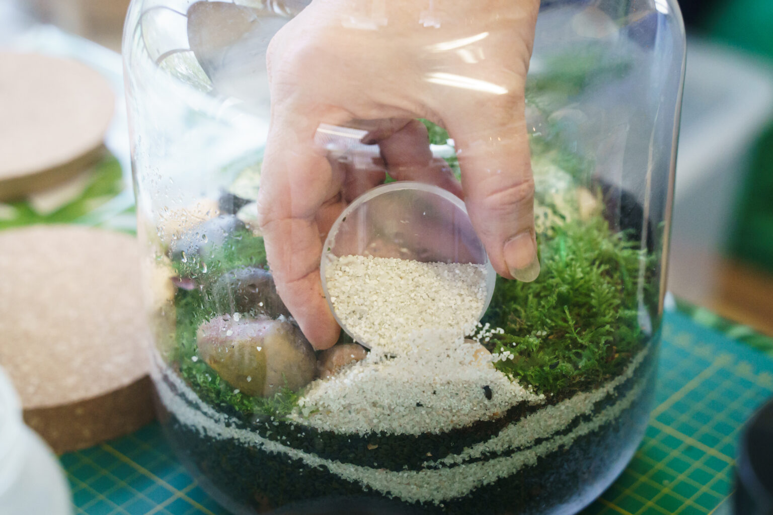 Atelier Terrarium