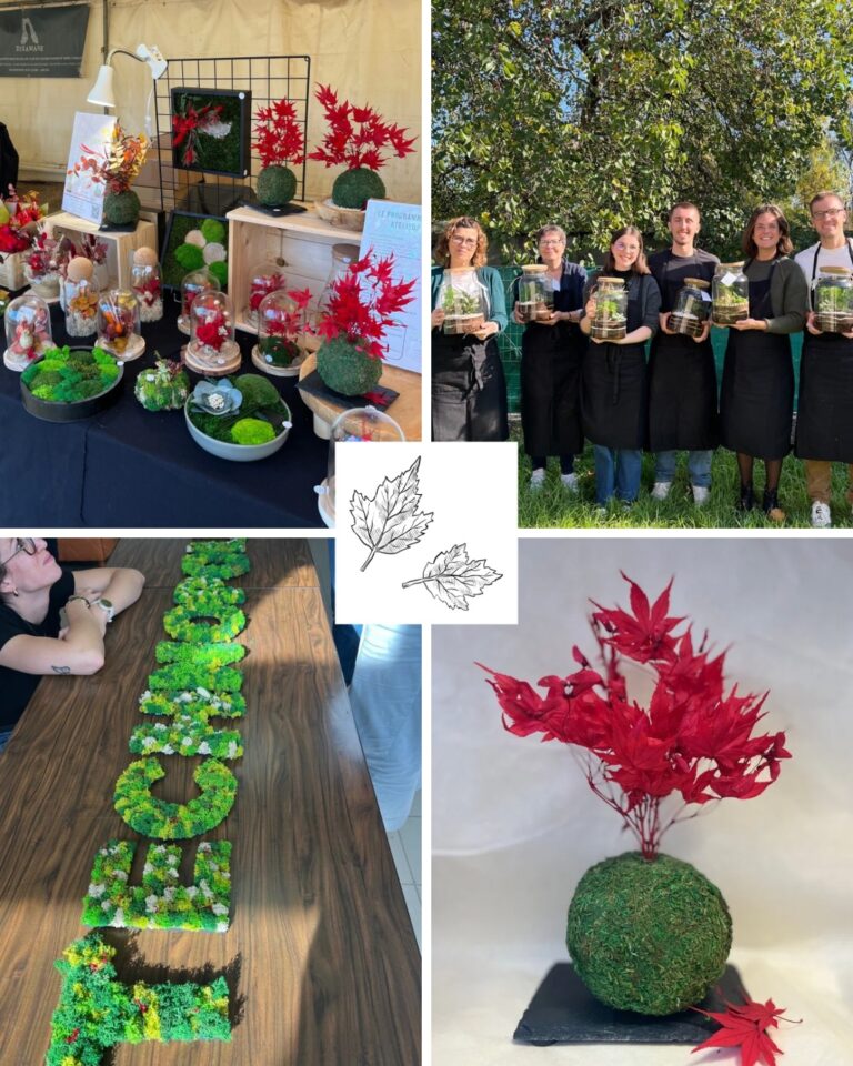 2921E9A3-0DF6-41E2-B2CA-774D891B4BB1_1_102_o