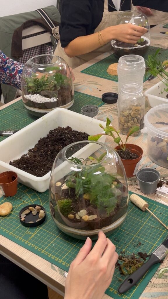 atelier terrarium