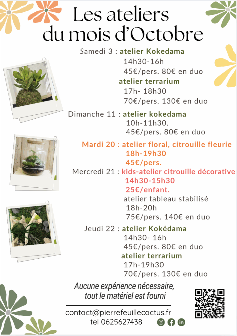 ateliers du mois d'octobre, terrarium, kokédama, tableau stabilsié, art floral