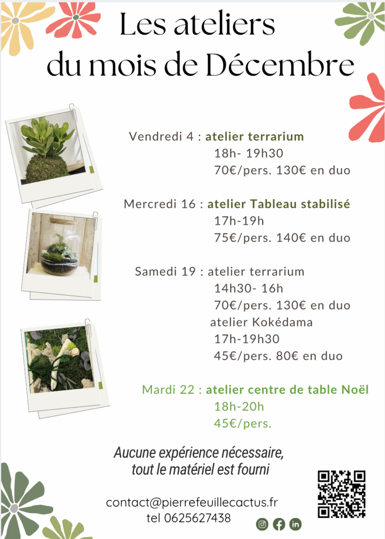 atelier du mois de décembre, kokédama, terrarium, tableau stabilisé, art floral